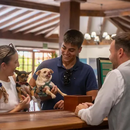 Gf伊莎贝尔酒店 酒店 阿德耶